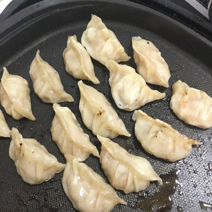 ホットプレートで焼き餃子